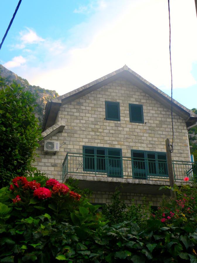 Apartments Aleksandra Risan Exterior photo